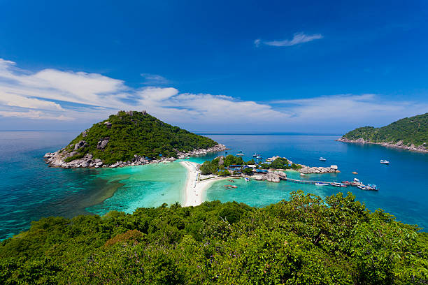 nang yuan na wyspie koh tao, tajlandia - taiwanese currency zdjęcia i obrazy z banku zdjęć