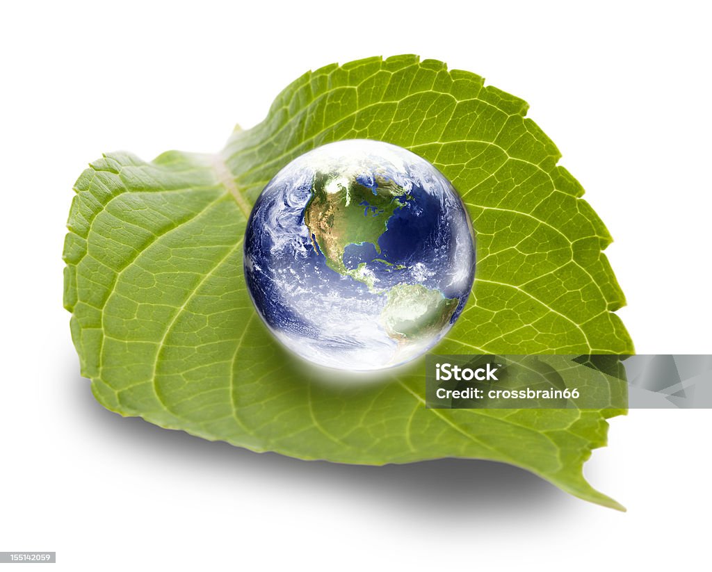 エコロジーコンセプト：世界各国の緑の葉 - しずくのロイヤリティフリーストックフォト