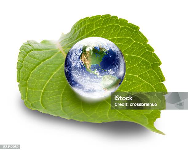エコロジーコンセプト世界各国の緑の葉 - しずくのストックフォトや画像を多数ご用意 - しずく, 葉, 惑星