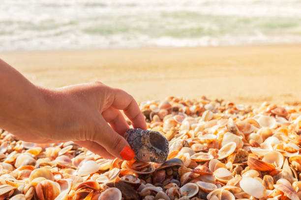 istock wonderful summer vacation at the sea 1551420772
