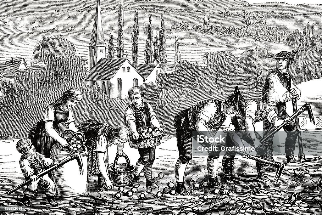 Objet gravé agriculteurs cueillette des pommes de terre champ 1835 - Illustration de Image du XVIIIème siècle libre de droits