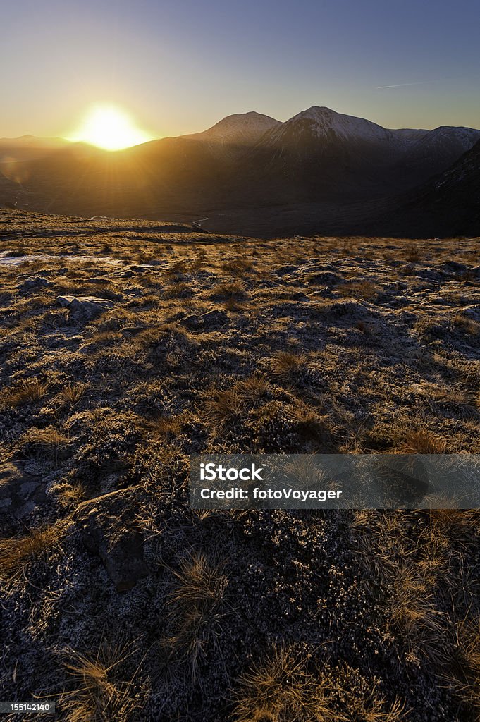 Scotland golden heather sunrise Glen Coe Rannoch Moor Golden rays of dawn sunlight illuminating the iconic mountain pyramid of of Buachaille Etive Mor and the heather covered wilderness of the Scottish Highlands. ProPhoto RGB profile for maximum color fidelity and gamut. Beauty In Nature Stock Photo