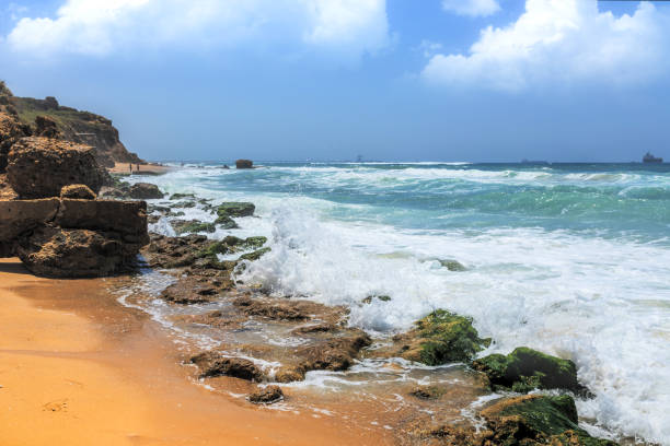 istock wonderful summer vacation at the sea 1551421837