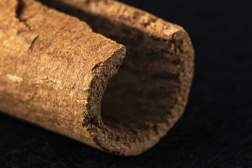 macro photo of dried aromatic bark of the cinnamon tree