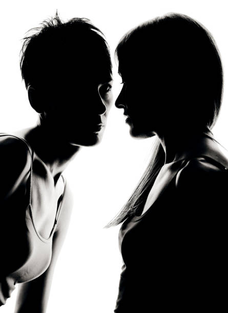 istock Beautiful women silhouette 155142581