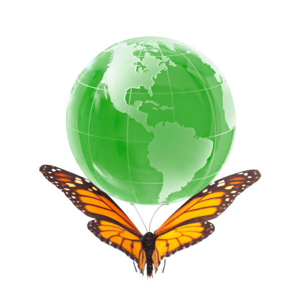 istock Monarch Butterfly Carries the World 155142843