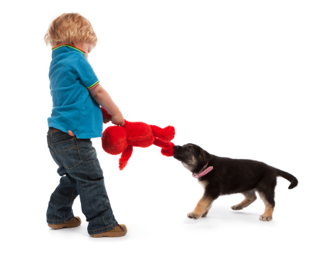 Little boy and his puppy dog playing
