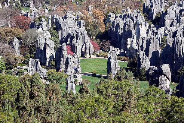 stone forest, kunming, china - the stone forest - fotografias e filmes do acervo