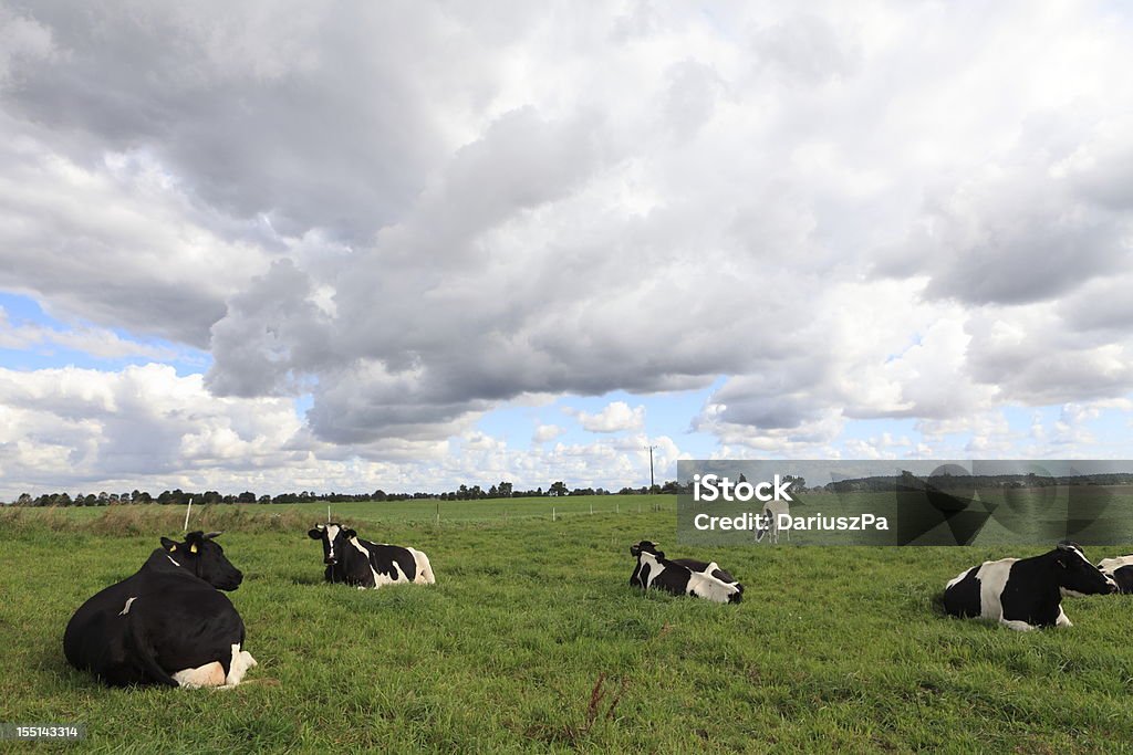 Bewölkt Landschaft und farm animals - Lizenzfrei Agrarbetrieb Stock-Foto