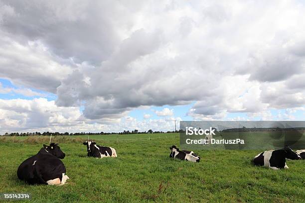 Bewölkt Landschaft Und Farm Animals Stockfoto und mehr Bilder von Agrarbetrieb - Agrarbetrieb, Cumulus, Dramatischer Himmel