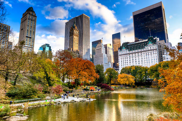 Central Park in New York during autumn season Central Park in New York during autumn season. central park manhattan stock pictures, royalty-free photos & images