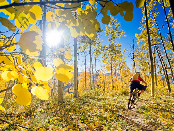 sports de plein air et d'aventure - mountain biking colorado action cycling photos et images de collection