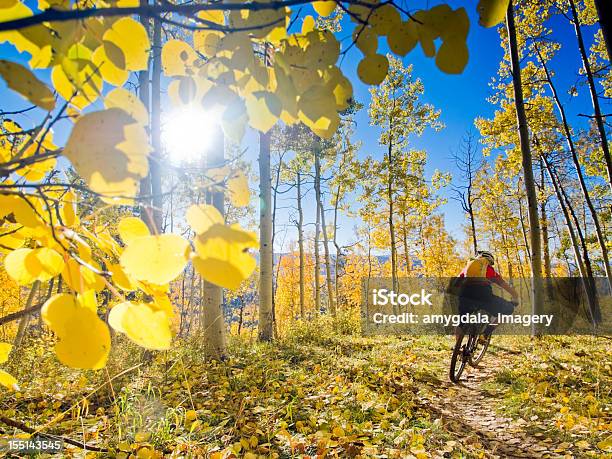 Aperto Sport E Avventura - Fotografie stock e altre immagini di Pioppo tremulo - Pioppo tremulo, Colorado, Ciclismo