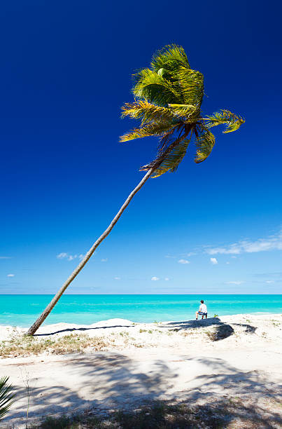 hombre bajo inclinado palmera en la playa del caribe - clear sky vacations vertical saturated color fotografías e imágenes de stock