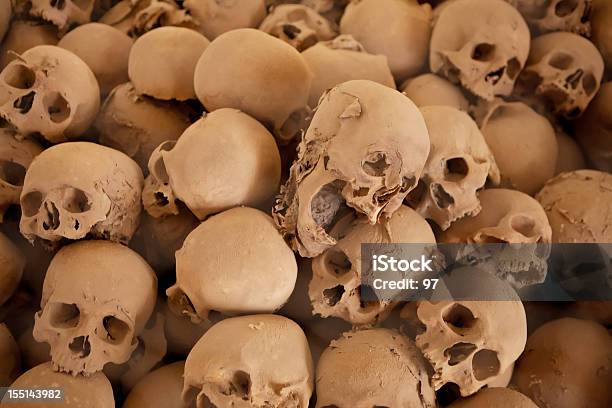 Human Skull On The Layer Of Dust Stock Photo - Download Image Now - Mt Sinai, Egypt, Genocide