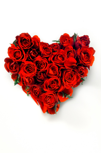 red roses in heart shape on white background