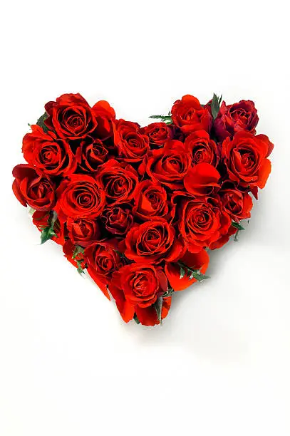 Photo of Valentines Day Rose Heart