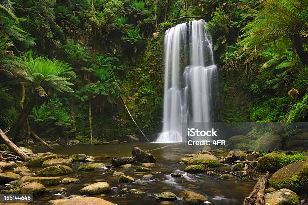 Las Deszczowy Wodospad Wodospad Beauchamp Falls Australia Xxxl - zdjęcia stockowe i więcej obrazów Południowa Australia