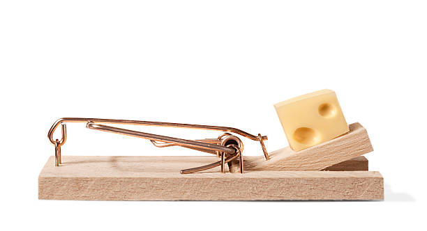 Mouse trap with clipping path real photo of a mouse trap with genuine cheese (Emmental) with clipping path trap stock pictures, royalty-free photos & images