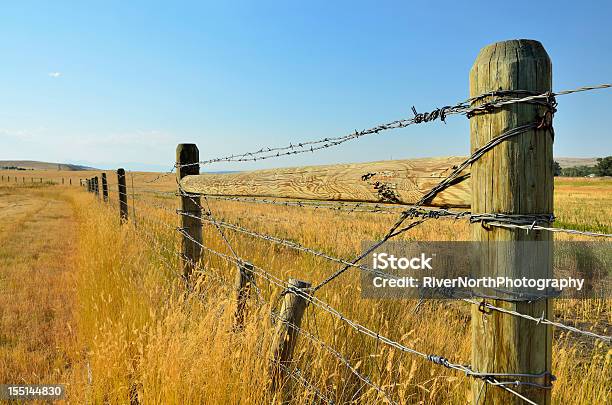 モンタナの風景 - 有刺鉄線のストックフォトや画像を多数ご用意 - 有刺鉄線, 農園, 杭
