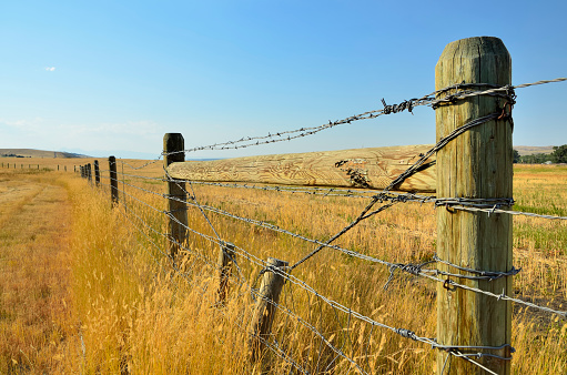 close-up of the vertical pole of a rustic barbed wire fence, in a field of green grass as the border of a rustic field of pasture for sheep