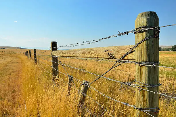 Photo of Montana Landscape