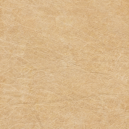 This Large, High Resolution Beige Animal Skin Parchment, Wizened Grunge Texture, is defined with exceptional details and richness, and represents the excellent choice for implementation within various CG Projects. 
