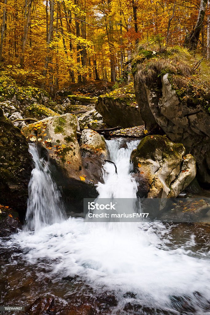 Cascada en las montañas - Foto de stock de Agua libre de derechos