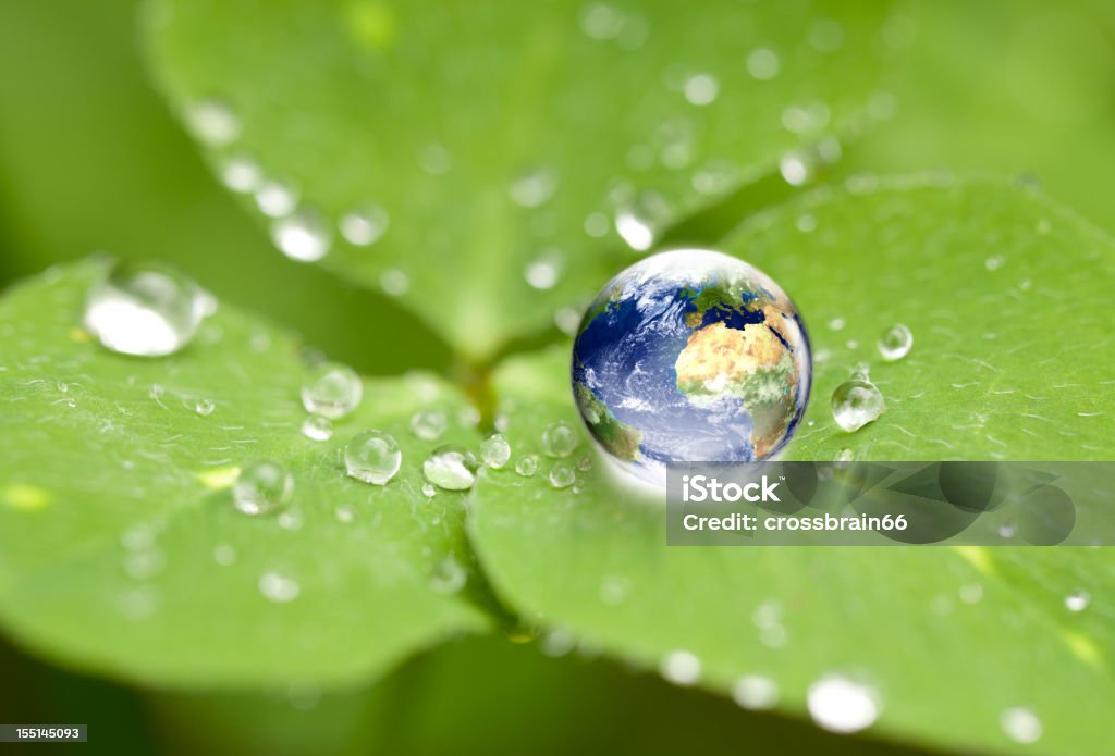 Drop of water on a leaf with the world inside enviornmental conservation concept: shiny globe in waterdrop on cloverleaf. Very small depth of field around the world globe. Water Stock Photo