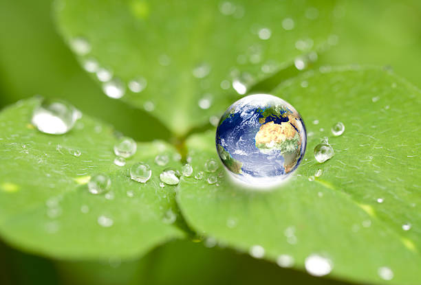 Drop of water on a leaf with the world inside stock photo