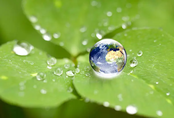 Photo of Drop of water on a leaf with the world inside