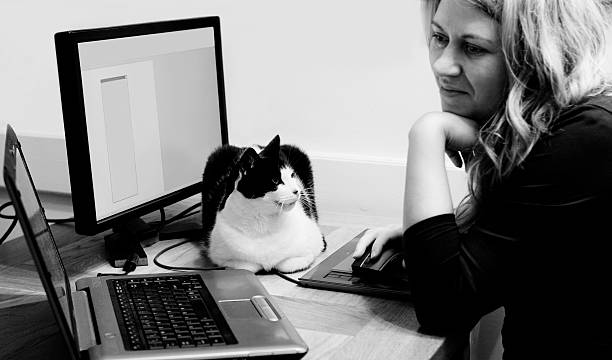Cute black and white cat relaxing