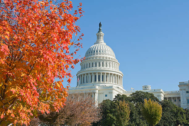 autunno 2011, at capitol hill washington dc - city symbol usa autumn foto e immagini stock