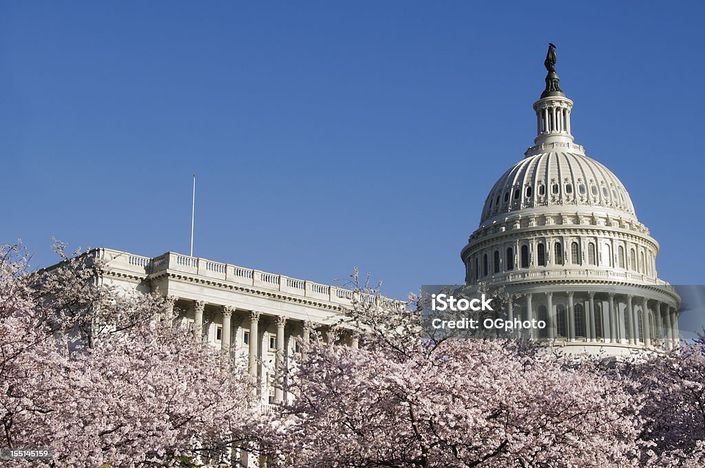 Kirschblüten und dem US-Kapitol in Washington, DC - Lizenzfrei Kapitol - Capitol Hill Stock-Foto