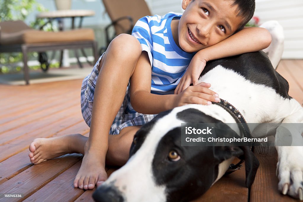 Молодой мальчик с собакой - Стоковые фото 6-7 лет роялти-фри