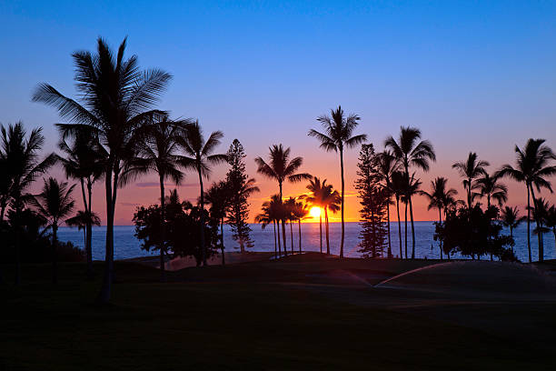 Tropical  sunset stock photo