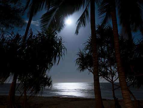 Long exposure of the moon shining over the Indian Ocean and silhouetting palm trees and mangroves on a quiet beach near Diani, Kenya.