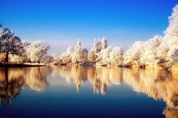 paisaje de invierno en havel río (alemania) - winterlandschaft brandenburg fotografías e imágenes de stock