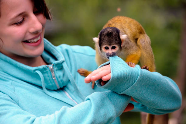Cute Girl with a Squirrel Monkey  saimiri sciureus stock pictures, royalty-free photos & images