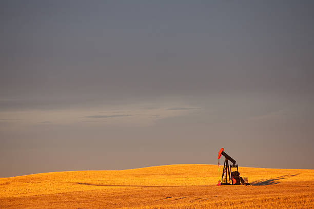 красный pumpjack в нефтяное месторождение в альберте, канада - oil pump oil industry alberta equipment стоковые фото и изображения