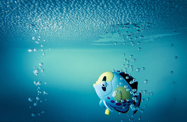 Bathtub fish toy swimming
