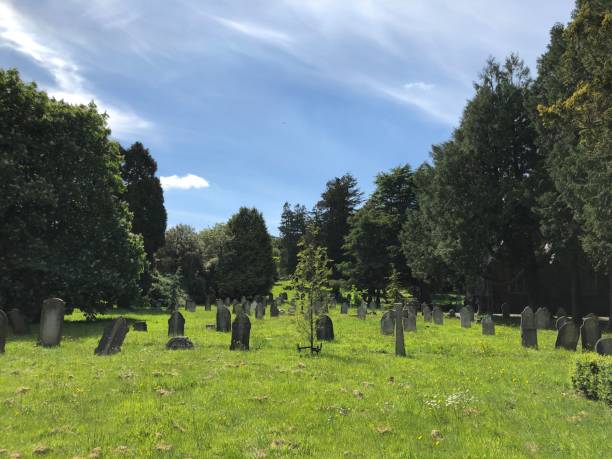 istock Exwick cemetery - trees and surrounding area 1551461797