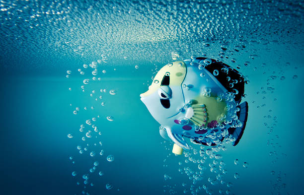 istock Bathtub fish toy swimming 155146200