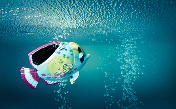 istock Bathtub fish toy swimming 155146224