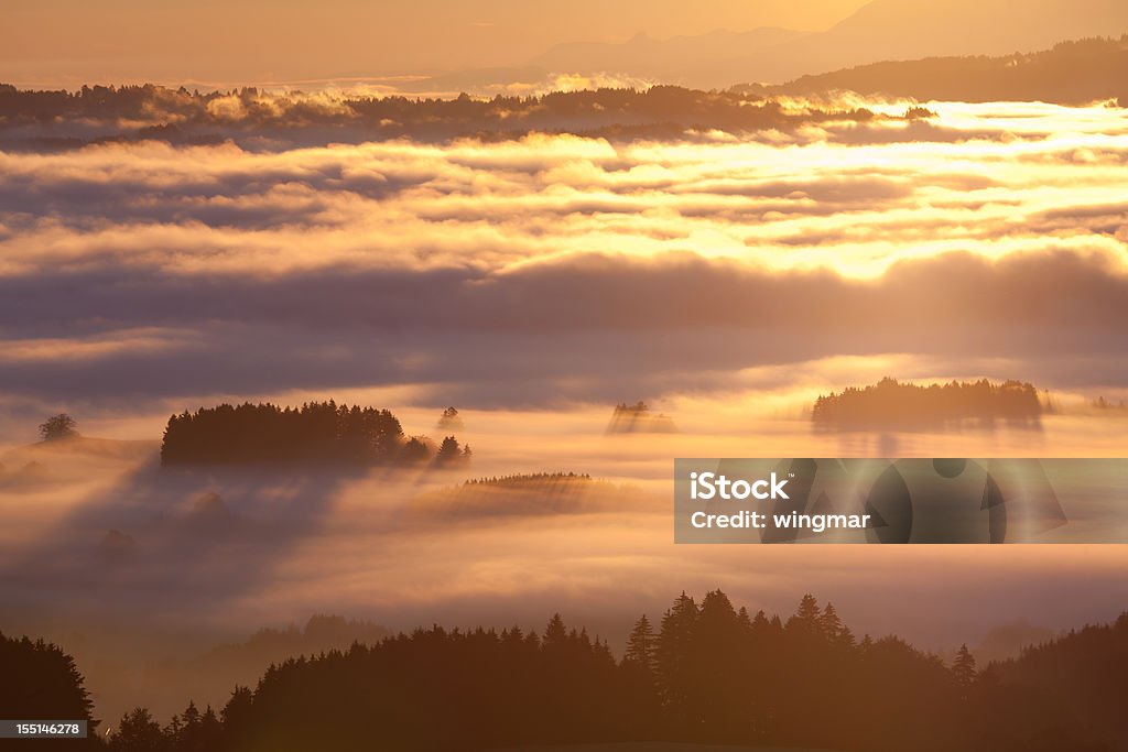 秋の朝の霧、ババリアドイツ - 夜明けのロイヤリティフリーストックフォト