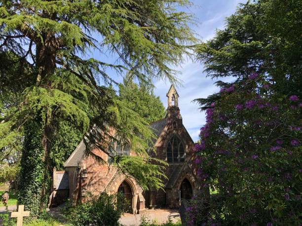 istock Exwick cemetery - trees and surrounding area 1551462833