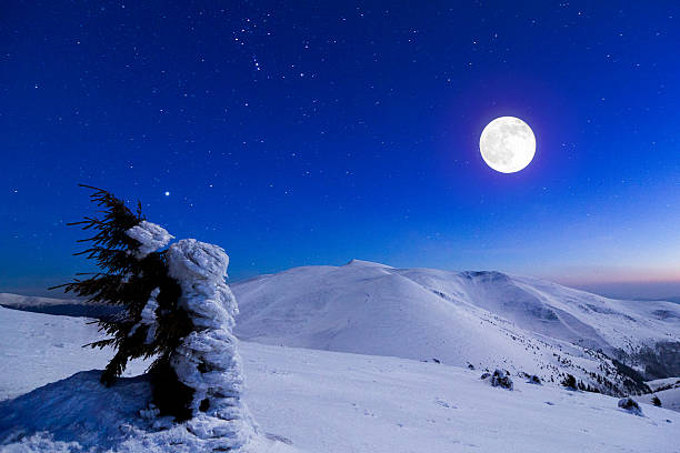 冬の山々の眺めが楽しめます。 - european alps carpathian mountain range evergreen tree tree ストックフォトと画像