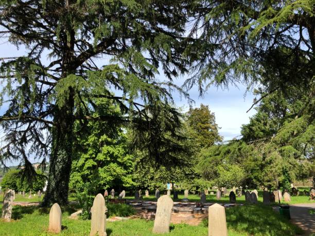 istock Exwick cemetery - trees and surrounding area 1551463273
