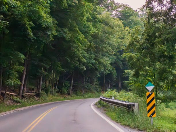 istock Winding Roads - Single Lane Highway through Trees 1551467053