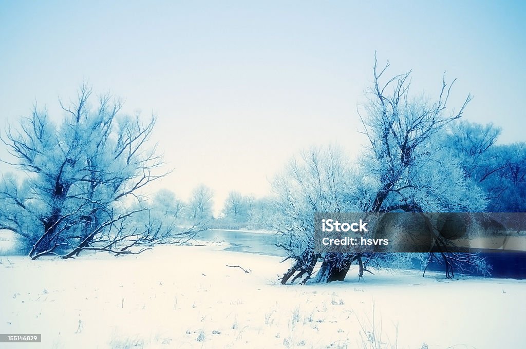 winter landscape at Havel River (Germany)  Brandenburg State Stock Photo